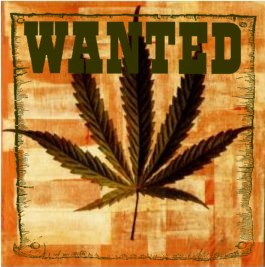 wanted
